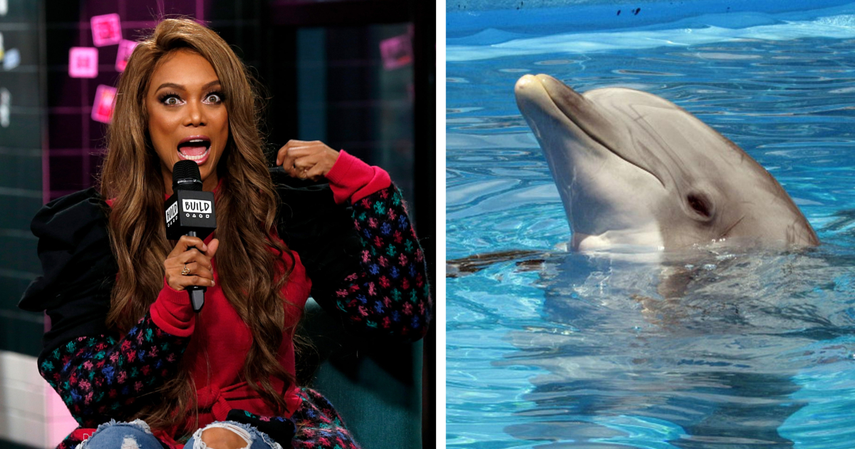 Bizarre Celebrity Phobias You Won't Believe What Scares Them!