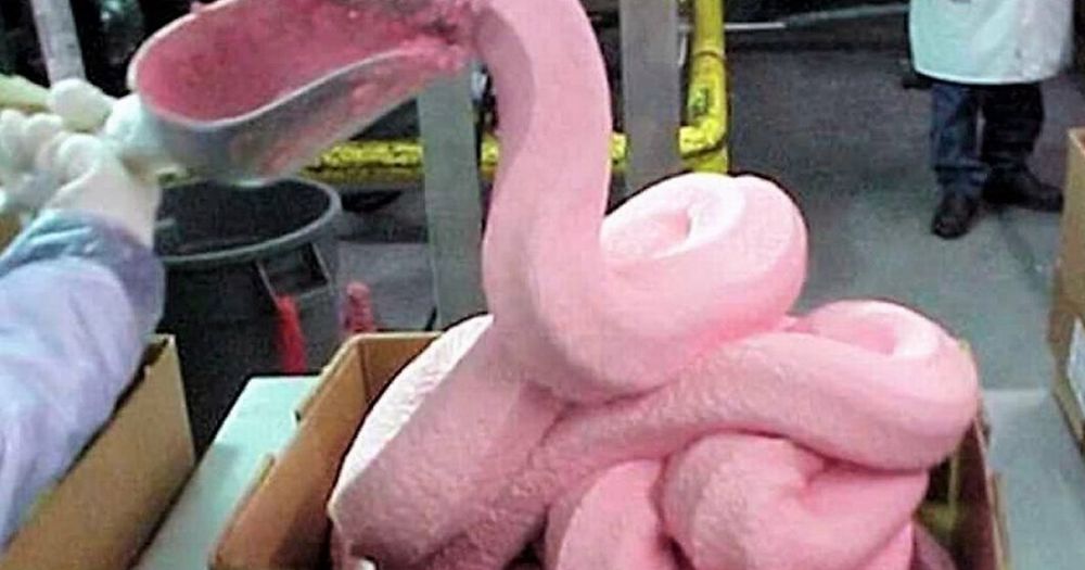strangest-foods-weird-things-people-all-over-the-world-eat