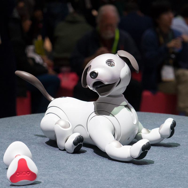 The Famous Failed Inventions Of The Last Century Your Diy