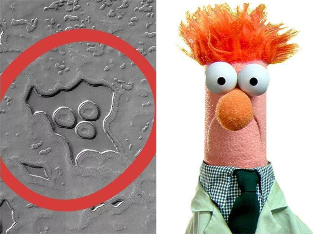 Beaker, is That You...?