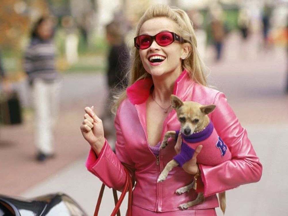 Favorite Movie Dogs The Most Memorable Canines in Film and TV