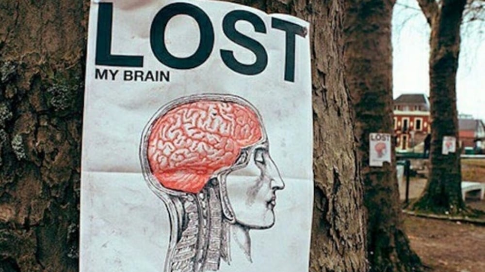 Lost and Found Signs That'll Make You Stop in Your Tracks