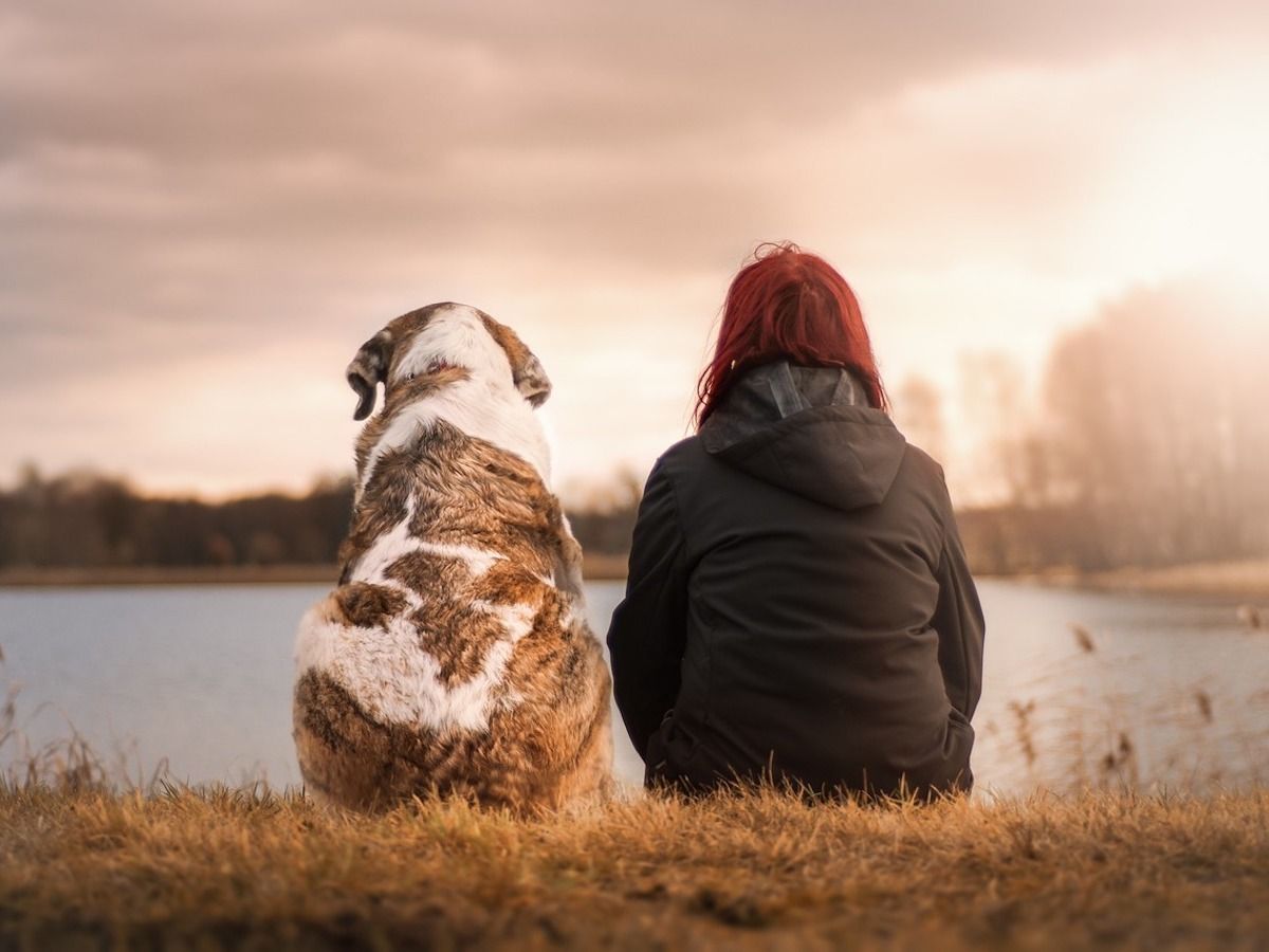 Why Dogs Are Immensely Beneficial to Those With Depression