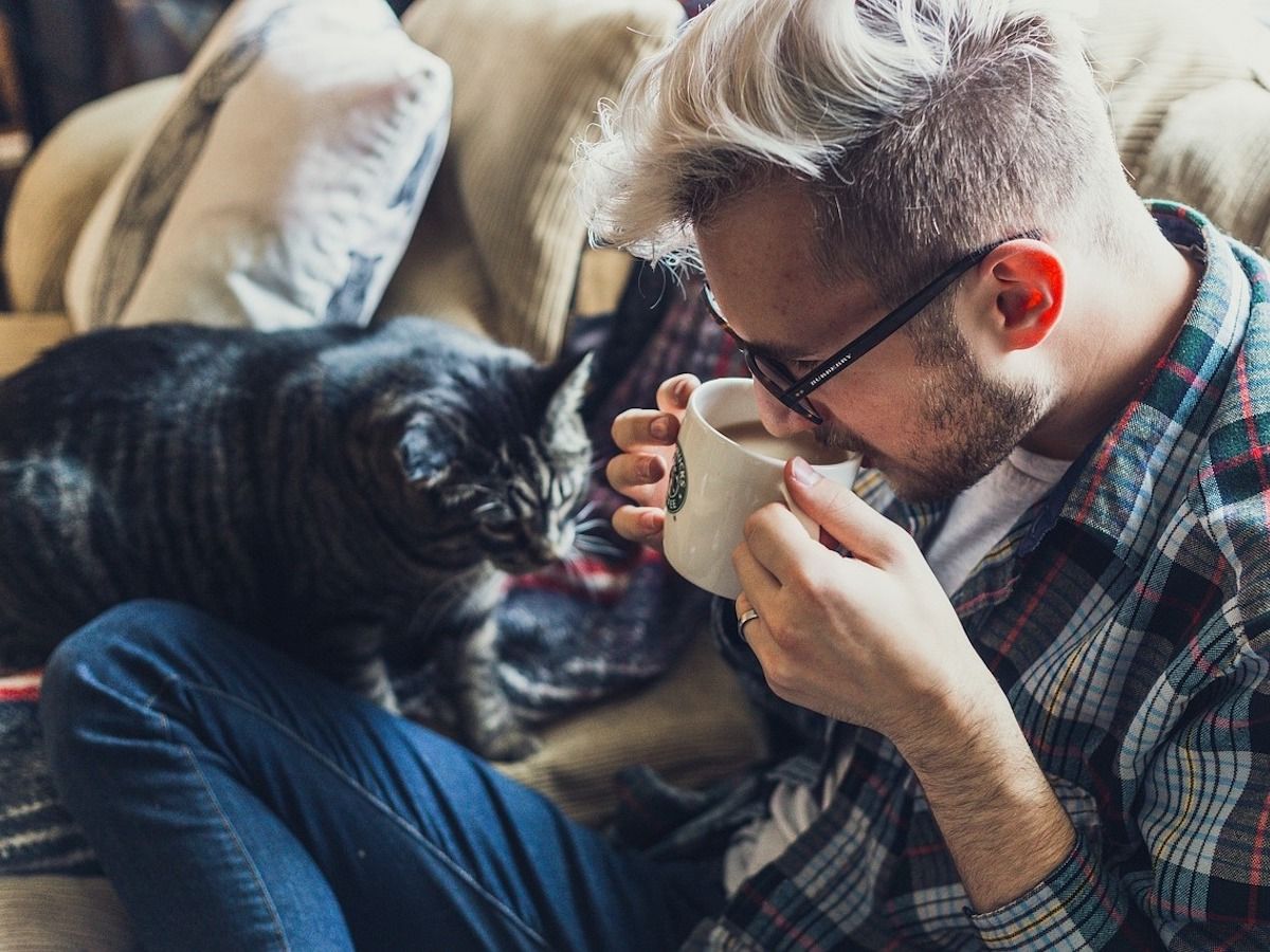 Funny Cat-Sitting Fails