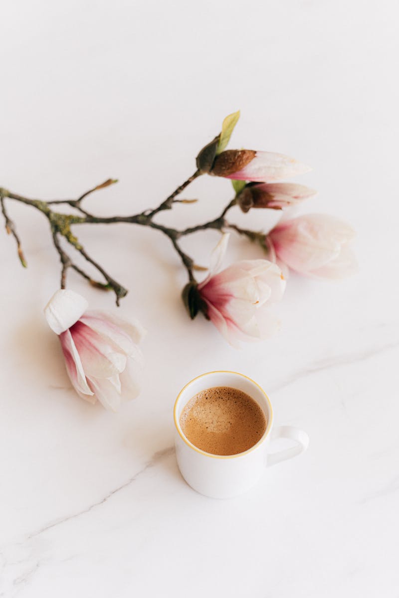 -Care Ideas
Seventy Plus Refreshing Spring Self-Care Ideas