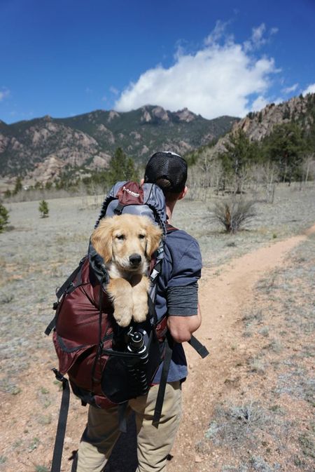 -On

28 Products Perfect For Travelers Who Are Only Bringing a Carry-On